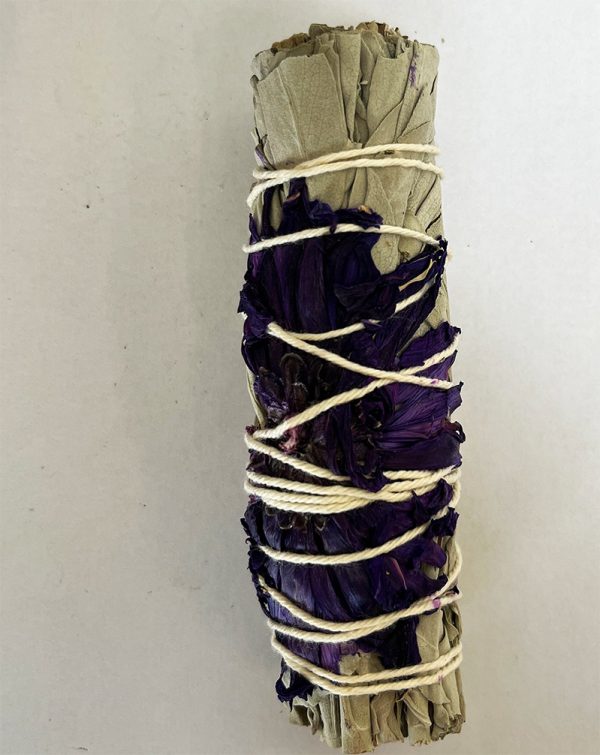 Purple Daze Sage